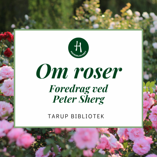 Haveselskabet: Foredrag om roser