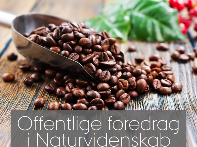 Kaffebønner